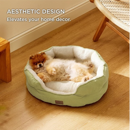 Bedsure Washable Cat Bed - 51 x 48 x 15 cm, Cat Bed Grey with Double-Sided Inner Cushion, Cat Sleeping Seat for Cats or Small Dogs Bedsure Washable Cat Bed - 51 x 48 x 15 cm, Cat Bed Grey with Double-Sided Inner Cushion, Cat Sleeping Seat for Cats or Small Dogs