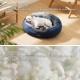 Bedsure Washable Cat Bed - 51 x 48 x 15 cm, Cat Bed Grey with Double-Sided Inner Cushion, Cat Sleeping Seat for Cats or Small Dogs Bedsure Washable Cat Bed - 51 x 48 x 15 cm, Cat Bed Grey with Double-Sided Inner Cushion, Cat Sleeping Seat for Cats or Small Dogs