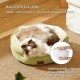 Bedsure Washable Cat Bed - 51 x 48 x 15 cm, Cat Bed Grey with Double-Sided Inner Cushion, Cat Sleeping Seat for Cats or Small Dogs Bedsure Washable Cat Bed - 51 x 48 x 15 cm, Cat Bed Grey with Double-Sided Inner Cushion, Cat Sleeping Seat for Cats or Small Dogs