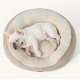 Bedsure Washable Cat Bed - 51 x 48 x 15 cm, Cat Bed Grey with Double-Sided Inner Cushion, Cat Sleeping Seat for Cats or Small Dogs Bedsure Washable Cat Bed - 51 x 48 x 15 cm, Cat Bed Grey with Double-Sided Inner Cushion, Cat Sleeping Seat for Cats or Small Dogs