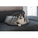 Beeztees Baboo Cat Bed, 48 x 37 x 18 cm, White Beeztees Baboo Cat Bed, 48 x 37 x 18 cm, White