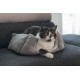 Beeztees Baboo Cat Bed, 48 x 37 x 18 cm, White Beeztees Baboo Cat Bed, 48 x 37 x 18 cm, White
