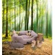 Beeztees Minus One Nox Cat Basket, Dark Grey, 48 x 37 x 18 cm Beeztees Minus One Nox Cat Basket, Dark Grey, 48 x 37 x 18 cm
