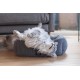 Beeztees Minus One Nox Cat Basket, Dark Grey, 48 x 37 x 18 cm Beeztees Minus One Nox Cat Basket, Dark Grey, 48 x 37 x 18 cm