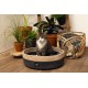Beeztees Minus One Xana Cat Basket, Cat Bed, Cat Cushion, Dark Grey/Brown, 45 x 45 x 14 cm Beeztees Minus One Xana Cat Basket, Cat Bed, Cat Cushion, Dark Grey/Brown, 45 x 45 x 14 cm