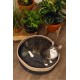 Beeztees Minus One Xana Cat Basket, Cat Bed, Cat Cushion, Dark Grey/Brown, 45 x 45 x 14 cm Beeztees Minus One Xana Cat Basket, Cat Bed, Cat Cushion, Dark Grey/Brown, 45 x 45 x 14 cm