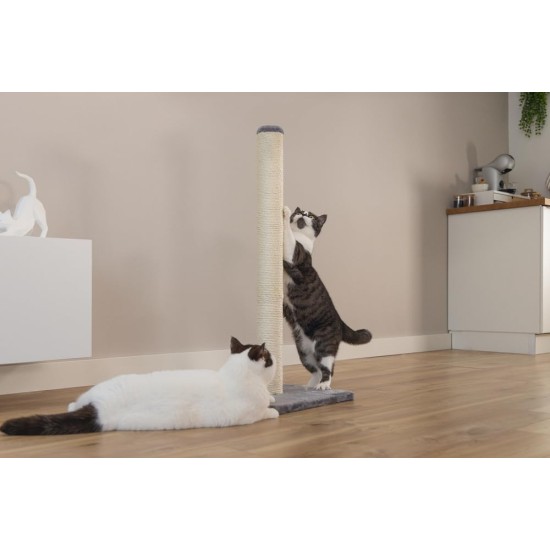 Beeztees Scratch Post Gina with Footprint, Extra Large, 40 x 40 x 90 cm, Brown Beeztees Scratch Post Gina with Footprint, Extra Large, 40 x 40 x 90 cm, Brown