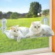 Bibykivn Cat Bed Window Foldable Hammock for Large Cats with Sturdy Suction Cups (Grey Plush + Mesh, 52 x 30 cm) Bibykivn Cat Bed Window Foldable Hammock for Large Cats with Sturdy Suction Cups (Grey Plush + Mesh, 52 x 30 cm)