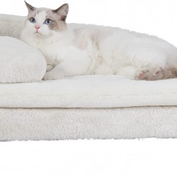 BingoPaw Luxury Cat Sofa, Pet Sofa with Backrest, Plush Cushion, Wooden Legs, Dog Sofa for Small Dogs, Relaxing Chair, Cat Chair for Large Cats, 70 x 40 x 39 cm, Beige BingoPaw Luxury Cat Sofa, Pet Sofa with Backrest, Plush Cushion, Wooden Legs, Dog Sofa for Small Dogs, Relaxing Chair, Cat Chair for Large Cats, 70 x 40 x 39 cm, Beige