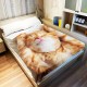 Blanket 100 x 125 cm Cuddly Blankets Soft Flannel Soft Fleece Blanket Bed Throw Kitten Cat Sleep Yellow Blanket 100 x 125 cm Cuddly Blankets Soft Flannel Soft Fleece Blanket Bed Throw Kitten Cat Sleep Yellow