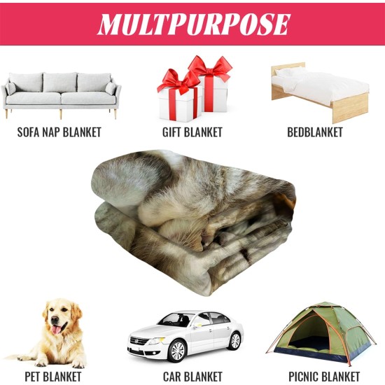 Blanket 150 x 200 cm Cuddly Blankets Soft Flannel Soft Fleece Blanket Bed Throw One Pair Cute Cats Blanket 150 x 200 cm Cuddly Blankets Soft Flannel Soft Fleece Blanket Bed Throw One Pair Cute Cats