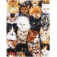Blanket 150 x 200 cm Cuddly Blankets Soft Flannel Soft Fleece Blanket Cute Cats Breeding Collagen Pet Blanket 150 x 200 cm Cuddly Blankets Soft Flannel Soft Fleece Blanket Cute Cats Breeding Collagen Pet