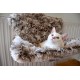 Bobby Poilu Cat Radiator Cave Soft with Hook, Beige, 47 x 30 x 25 cm Bobby Poilu Cat Radiator Cave Soft with Hook, Beige, 47 x 30 x 25 cm