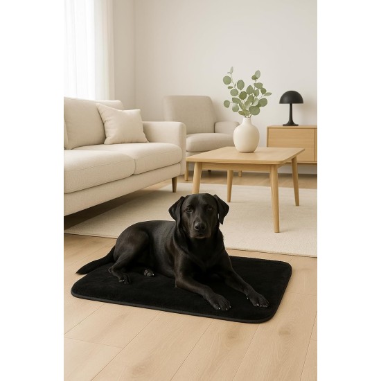Brandsseller Pet Blanket 70 x 100 cm - Silky Soft Dog Blanket & Cat Blanket with Thick Border - Washable Animal Mat - Cuddly & Robust for Car, Couch or Floor Black Brandsseller Pet Blanket 70 x 100 cm - Silky Soft Dog Blanket & Cat Blanket with Thick Border - Washable Animal Mat - Cuddly & Robust for Car, Couch or Floor Black