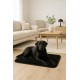 Brandsseller Pet Blanket 70 x 100 cm - Silky Soft Dog Blanket & Cat Blanket with Thick Border - Washable Animal Mat - Cuddly & Robust for Car, Couch or Floor Black Brandsseller Pet Blanket 70 x 100 cm - Silky Soft Dog Blanket & Cat Blanket with Thick Border - Washable Animal Mat - Cuddly & Robust for Car, Couch or Floor Black