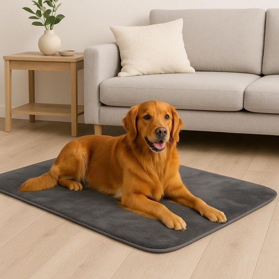Brandsseller Pet Blanket 70 x 100 cm - Silky Soft Dog Blanket & Cat Blanket with Thick Border - Washable Animal Mat - Cuddly & Robust for Car, Couch or Floor Black Brandsseller Pet Blanket 70 x 100 cm - Silky Soft Dog Blanket & Cat Blanket with Thick Border - Washable Animal Mat - Cuddly & Robust for Car, Couch or Floor Black