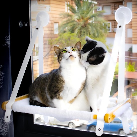 Budosín Hammock for Cat, Window, Cat Hammock, Cat Bed, Window Bed for Cats, Cat Bed, Cat Bed, Cat Accessories, Hammock with Window (Nordico Plush), 1 Piece Budosín Hammock for Cat, Window, Cat Hammock, Cat Bed, Window Bed for Cats, Cat Bed, Cat Bed, Cat Accessories, Hammock with Window (Nordico Plush), 1 Piece