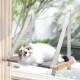 CATISM Foldable Cat Window Lounger with Cushion up to 20 kg, Cat Hammock Window Seat, Cat Window Hammocks Bed for Indoor Cats, Large Cats Perch with Sturdy Suction Cup (50 x 38 cm) CATISM Foldable Cat Window Lounger with Cushion up to 20 kg, Cat Hammock Window Seat, Cat Window Hammocks Bed for Indoor Cats, Large Cats Perch with Sturdy Suction Cup (50 x 38 cm)