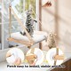 CATISM Foldable Cat Window Lounger with Cushion up to 20 kg, Cat Hammock Window Seat, Cat Window Hammocks Bed for Indoor Cats, Large Cats Perch with Sturdy Suction Cup (50 x 38 cm) CATISM Foldable Cat Window Lounger with Cushion up to 20 kg, Cat Hammock Window Seat, Cat Window Hammocks Bed for Indoor Cats, Large Cats Perch with Sturdy Suction Cup (50 x 38 cm)