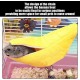 CHROMACRAFT 3-Piece Banana Shaped Hammock, Cute Pet Bed, Creative Mini Hammock, Warm Pet Bed, Pet Supplies