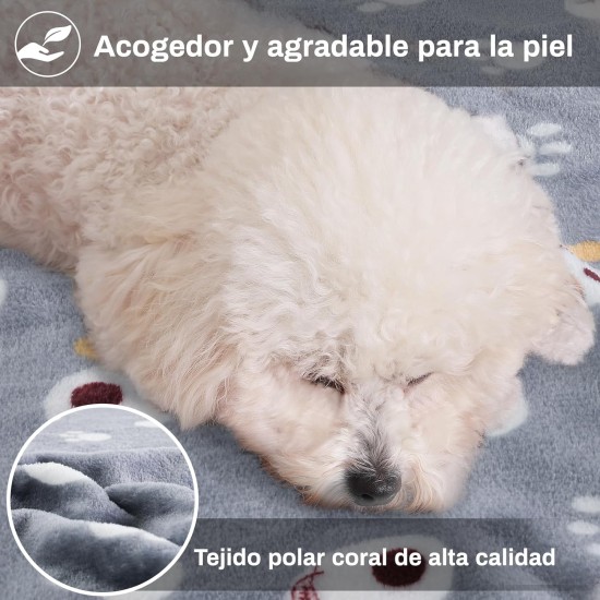 COMSLE Dog Blanket Cat Blankets Washable and Fluffy Pack of 3 Soft Warm Fleece Pet Blankets for Small Medium Dogs Cats Pet Blanket Sleeping Mat for Sofa Bed Star Pattern 76 x 52 cm COMSLE Dog Blanket Cat Blankets Washable and Fluffy Pack of 3 Soft Warm Fleece Pet Blankets for Small Medium Dogs Cats Pet Blanket Sleeping Mat for Sofa Bed Star Pattern 76 x 52 cm
