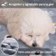 COMSLE Dog Blanket Cat Blankets Washable and Fluffy Pack of 3 Soft Warm Fleece Pet Blankets for Small Medium Dogs Cats Pet Blanket Sleeping Mat for Sofa Bed Star Pattern 76 x 52 cm COMSLE Dog Blanket Cat Blankets Washable and Fluffy Pack of 3 Soft Warm Fleece Pet Blankets for Small Medium Dogs Cats Pet Blanket Sleeping Mat for Sofa Bed Star Pattern 76 x 52 cm