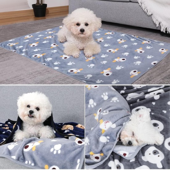 COMSLE Dog Blanket Cat Blankets Washable and Fluffy Pack of 3 Soft Warm Fleece Pet Blankets for Small Medium Dogs Cats Pet Blanket Sleeping Mat for Sofa Bed Star Pattern 76 x 52 cm COMSLE Dog Blanket Cat Blankets Washable and Fluffy Pack of 3 Soft Warm Fleece Pet Blankets for Small Medium Dogs Cats Pet Blanket Sleeping Mat for Sofa Bed Star Pattern 76 x 52 cm