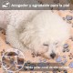 COMSLE Dog Blanket Cat Blankets Washable and Fluffy Pack of 3 Soft Warm Fleece Pet Blankets for Small Medium Dogs Cats Pet Blanket Sleeping Mat for Sofa Bed Star Pattern 76 x 52 cm COMSLE Dog Blanket Cat Blankets Washable and Fluffy Pack of 3 Soft Warm Fleece Pet Blankets for Small Medium Dogs Cats Pet Blanket Sleeping Mat for Sofa Bed Star Pattern 76 x 52 cm