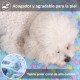 COMSLE Dog Blanket Cat Blankets Washable and Fluffy Pack of 3 Soft Warm Fleece Pet Blankets for Small Medium Dogs Cats Pet Blanket Sleeping Mat for Sofa Bed Star Pattern 76 x 52 cm COMSLE Dog Blanket Cat Blankets Washable and Fluffy Pack of 3 Soft Warm Fleece Pet Blankets for Small Medium Dogs Cats Pet Blanket Sleeping Mat for Sofa Bed Star Pattern 76 x 52 cm