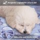 COMSLE Dog Blanket Cat Blankets Washable and Fluffy Pack of 3 Soft Warm Fleece Pet Blankets for Small Medium Dogs Cats Pet Blanket Sleeping Mat for Sofa Bed Star Pattern 76 x 52 cm COMSLE Dog Blanket Cat Blankets Washable and Fluffy Pack of 3 Soft Warm Fleece Pet Blankets for Small Medium Dogs Cats Pet Blanket Sleeping Mat for Sofa Bed Star Pattern 76 x 52 cm