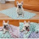 COMSLE Dog Blanket Cat Blankets Washable and Fluffy Pack of 3 Soft Warm Fleece Pet Blankets for Small Medium Dogs Cats Pet Blanket Sleeping Mat for Sofa Bed Star Pattern 76 x 52 cm COMSLE Dog Blanket Cat Blankets Washable and Fluffy Pack of 3 Soft Warm Fleece Pet Blankets for Small Medium Dogs Cats Pet Blanket Sleeping Mat for Sofa Bed Star Pattern 76 x 52 cm