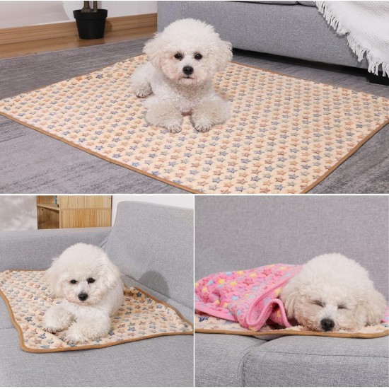 COMSLE Dog Blanket Cat Blankets Washable and Fluffy Pack of 3 Soft Warm Fleece Pet Blankets for Small Medium Dogs Cats Pet Blanket Sleeping Mat for Sofa Bed Star Pattern 76 x 52 cm COMSLE Dog Blanket Cat Blankets Washable and Fluffy Pack of 3 Soft Warm Fleece Pet Blankets for Small Medium Dogs Cats Pet Blanket Sleeping Mat for Sofa Bed Star Pattern 76 x 52 cm