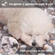COMSLE Dog Blanket Cat Blankets Washable and Fluffy Pack of 3 Soft Warm Fleece Pet Blankets for Small Medium Dogs Cats Pet Blanket Sleeping Mat for Sofa Bed Star Pattern 76 x 52 cm COMSLE Dog Blanket Cat Blankets Washable and Fluffy Pack of 3 Soft Warm Fleece Pet Blankets for Small Medium Dogs Cats Pet Blanket Sleeping Mat for Sofa Bed Star Pattern 76 x 52 cm