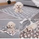COMSLE Dog Blanket Cat Blankets Washable and Fluffy Pack of 3 Soft Warm Fleece Pet Blankets for Small Medium Dogs Cats Pet Blanket Sleeping Mat for Sofa Bed Star Pattern 76 x 52 cm COMSLE Dog Blanket Cat Blankets Washable and Fluffy Pack of 3 Soft Warm Fleece Pet Blankets for Small Medium Dogs Cats Pet Blanket Sleeping Mat for Sofa Bed Star Pattern 76 x 52 cm