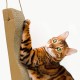 Cardboard Cat Scratching Post in Wave Shape – 46 x 12 x 5 cm – Environmentally Friendly Scratches – Scratches – Cat Mat Horizontal – Accessories for Cats – Nail Grinder Cardboard Cat Scratching Post in Wave Shape – 46 x 12 x 5 cm – Environmentally Friendly Scratches – Scratches – Cat Mat Horizontal – Accessories for Cats – Nail Grinder