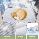 Casgee Window Lounger for Cats 60 x 30 cm, Cat Hammock with Sturdy Suction Cups, Cat Window Lounger, Foldable Cat Bed Window, Window Sill, Cat Lounger Up to 20 kg, Cat Hammock Window, Grey Casgee Window Lounger for Cats 60 x 30 cm, Cat Hammock with Sturdy Suction Cups, Cat Window Lounger, Foldable Cat Bed Window, Window Sill, Cat Lounger Up to 20 kg, Cat Hammock Window, Grey