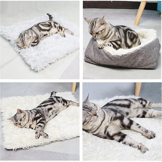 Cat Bed 2 in 1 Plush Soft Round Sleeping Cat Sofa Fluffy Cat Bed Small Dog Bed Cat Blanket Pet Bed Cat Bed Pet Bed for Cats and Small Dogs (Dark Grey) Cat Bed 2 in 1 Plush Soft Round Sleeping Cat Sofa Fluffy Cat Bed Small Dog Bed Cat Blanket Pet Bed Cat Bed Pet Bed for Cats and Small Dogs (Dark Grey)