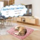 Cat Bed 2 in 1 Plush Soft Round Sleeping Cat Sofa Fluffy Cat Bed Small Dog Bed Cat Blanket Pet Bed Cat Bed Pet Bed for Cats and Small Dogs (Dark Grey) Cat Bed 2 in 1 Plush Soft Round Sleeping Cat Sofa Fluffy Cat Bed Small Dog Bed Cat Blanket Pet Bed Cat Bed Pet Bed for Cats and Small Dogs (Dark Grey)