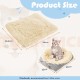 Cat Bed 2 in 1 Plush Soft Round Sleeping Cat Sofa Fluffy Cat Bed Small Dog Bed Cat Blanket Pet Bed Cat Bed Pet Bed for Cats and Small Dogs (Dark Grey) Cat Bed 2 in 1 Plush Soft Round Sleeping Cat Sofa Fluffy Cat Bed Small Dog Bed Cat Blanket Pet Bed Cat Bed Pet Bed for Cats and Small Dogs (Dark Grey)