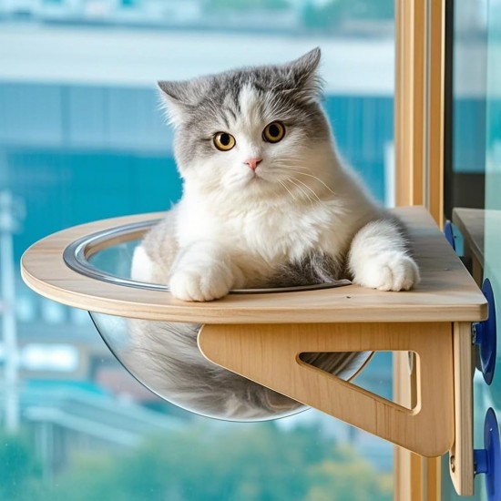 Cat Bed for Wall Mounting, High-Quality Cat Bed for Sleeping, Playing, Climbing, Supports up to 12 kg Cat Bed for Wall Mounting, High-Quality Cat Bed for Sleeping, Playing, Climbing, Supports up to 12 kg