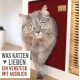 Cat Den, Cosy Retreat and Cat Bed Made of High-Quality Felt, Suitable for IKEA Kallax or Expedit, Place to Sleep Cat Den, Cosy Retreat and Cat Bed Made of High-Quality Felt, Suitable for IKEA Kallax or Expedit, Place to Sleep