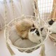 Cat Hammock, Macrame Cat Bed, Hammock for Cat, Cat Swing, Hand Knitted Hanging Cat Nest, Pet Swing (35 cm) Cat Hammock, Macrame Cat Bed, Hammock for Cat, Cat Swing, Hand Knitted Hanging Cat Nest, Pet Swing (35 cm)