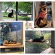 Cat Hammock, Sunbathing Cat Window Lounger, Cat Hammock, Holds up to 15 kg Hammock for Cats Cat Hammock, Sunbathing Cat Window Lounger, Cat Hammock, Holds up to 15 kg Hammock for Cats