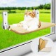 Cat Hammock, Window Bed for Cats with Sturdy Suction Cups, Cat Hammock Bed, Window, Load Capacity of 25 kg, 52 x 30 cm (Bend) Cat Hammock, Window Bed for Cats with Sturdy Suction Cups, Cat Hammock Bed, Window, Load Capacity of 25 kg, 52 x 30 cm (Bend)