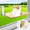 Cat Hammock, Window Bed for Cats with Sturdy Suction Cups, Cat Hammock Bed, Window, Load Capacity of 25 kg, 52 x 30 cm (Bend) Cat Hammock, Window Bed for Cats with Sturdy Suction Cups, Cat Hammock Bed, Window, Load Capacity of 25 kg, 52 x 30 cm (Bend)