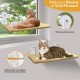 Cat Hammock, Window Bed for Cats with Sturdy Suction Cups, Cat Hammock Bed, Window, Load Capacity of 25 kg, 52 x 30 cm (Bend) Cat Hammock, Window Bed for Cats with Sturdy Suction Cups, Cat Hammock Bed, Window, Load Capacity of 25 kg, 52 x 30 cm (Bend)