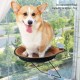 Cat Window Bed, Trespolo for Cat Window, Perches for Window, Cat Bed, Suction Cup for Window, Hanging Nest, House for Pets, Windowsill, Hammock Cat Window Bed, Trespolo for Cat Window, Perches for Window, Cat Bed, Suction Cup for Window, Hanging Nest, House for Pets, Windowsill, Hammock