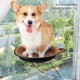 Cat Window Mounted Bed Sunbathing Seat Window Hammock Cat Window Seat Cushion Bed Cosy Place Lying Plate Suction Cup Hanging Pet Bed for Cat Small Dog or Other Small Animals (Coffee)