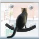 Cat Window Suction Cup, 4 Pieces Suction Cups for Cat Window Bed, Replacement Suction Cup for Hanging Hammocks for Cat/Kitten Cat Window Suction Cup, 4 Pieces Suction Cups for Cat Window Bed, Replacement Suction Cup for Hanging Hammocks for Cat/Kitten