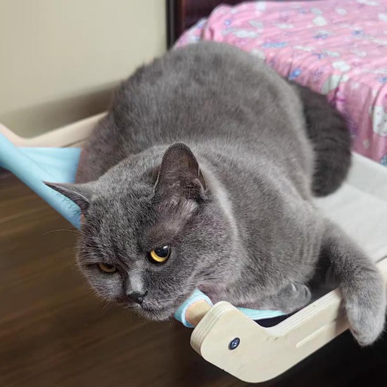 Chingcoo Cat Lounger Balcony, Window Mat for Heating, Heating Body Mat for Cat Windows, Cats Window Lounger, Window Seat, Cat Bed, Window Sill Chingcoo Cat Lounger Balcony, Window Mat for Heating, Heating Body Mat for Cat Windows, Cats Window Lounger, Window Seat, Cat Bed, Window Sill